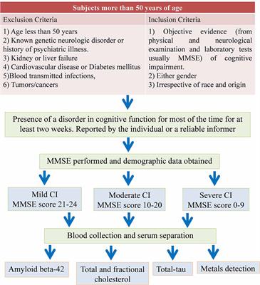 Blood-Based Biomarkers for Predictive Diagnosis of Cognitive Impairment in a Pakistani Population